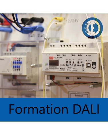 DALI Training
